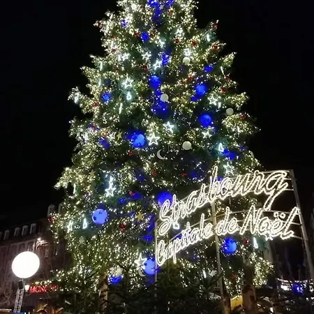 La Maison Du Sotre Tatil Evi *